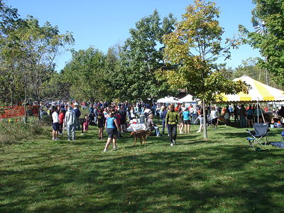 Colorama gathering